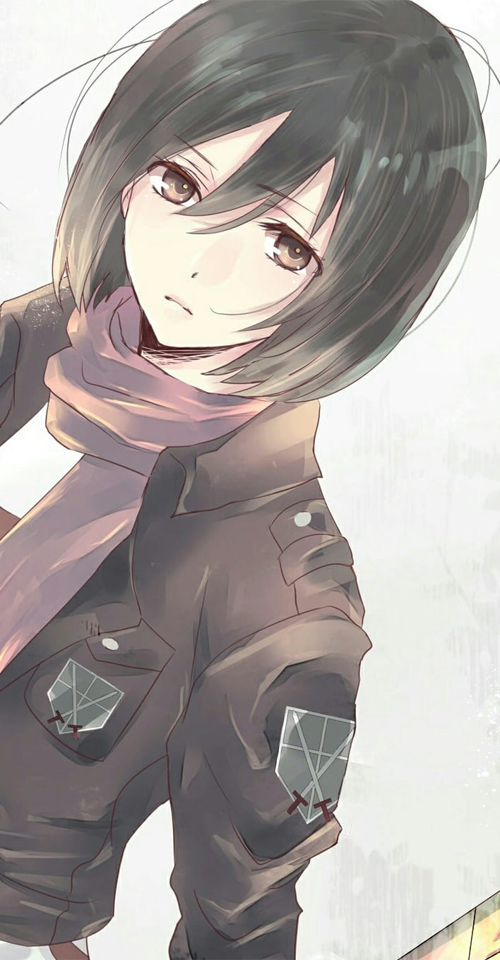 战争女神 三笠·阿克曼 精美手机壁纸