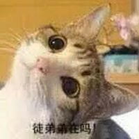 师徒系列表情包 线上游戏值得拥有！