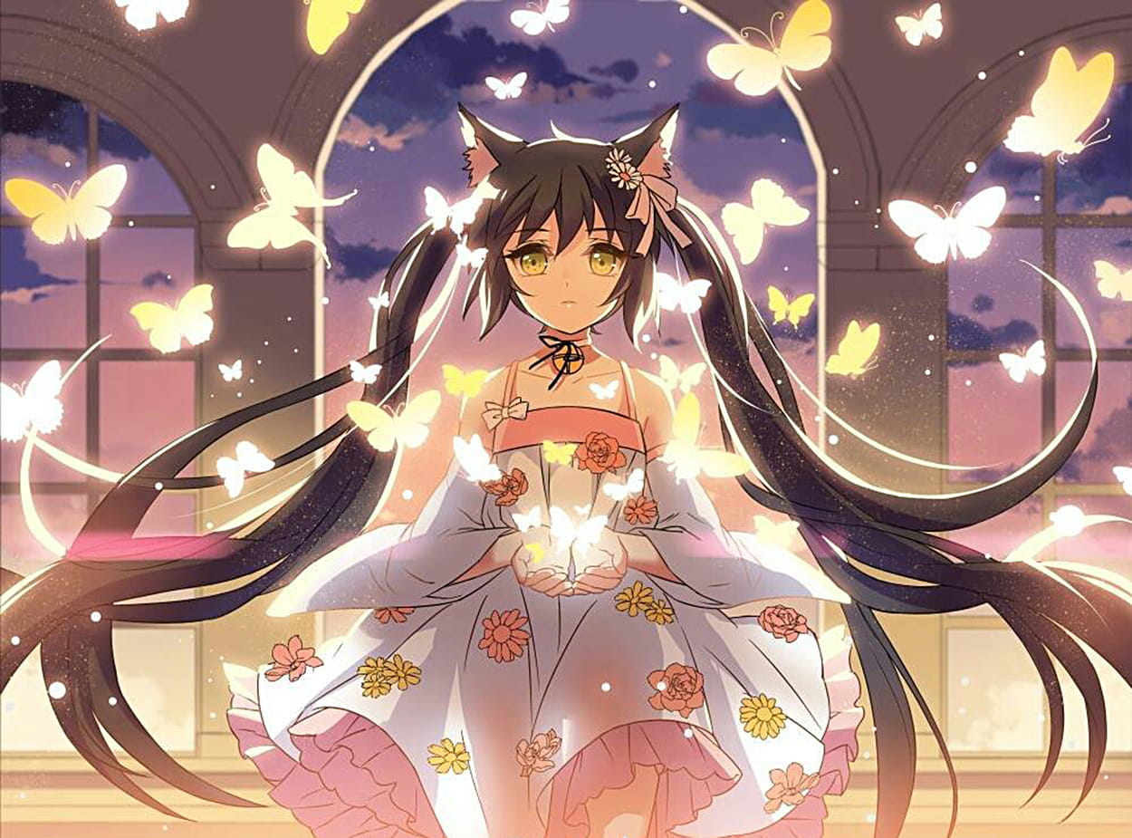 都市喵奇谭 小猫妖夜瞳 桌面壁纸分享