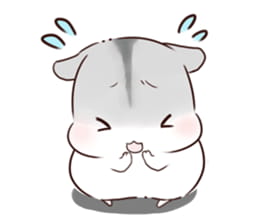 hamham小仓鼠 表情包全套 超级可爱