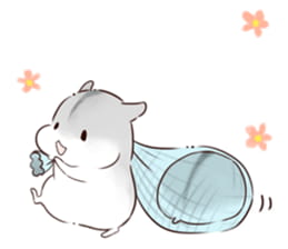 hamham小仓鼠 表情包全套 超级可爱