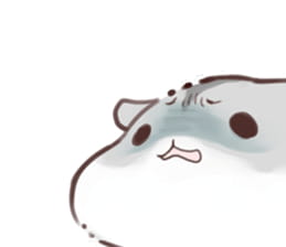 hamham小仓鼠 表情包全套 超级可爱