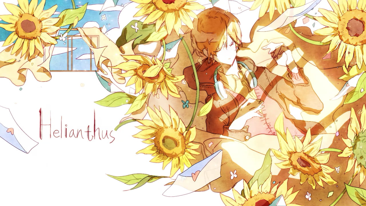 喜欢大片的向日葵花田吗 向日葵桌面壁纸集