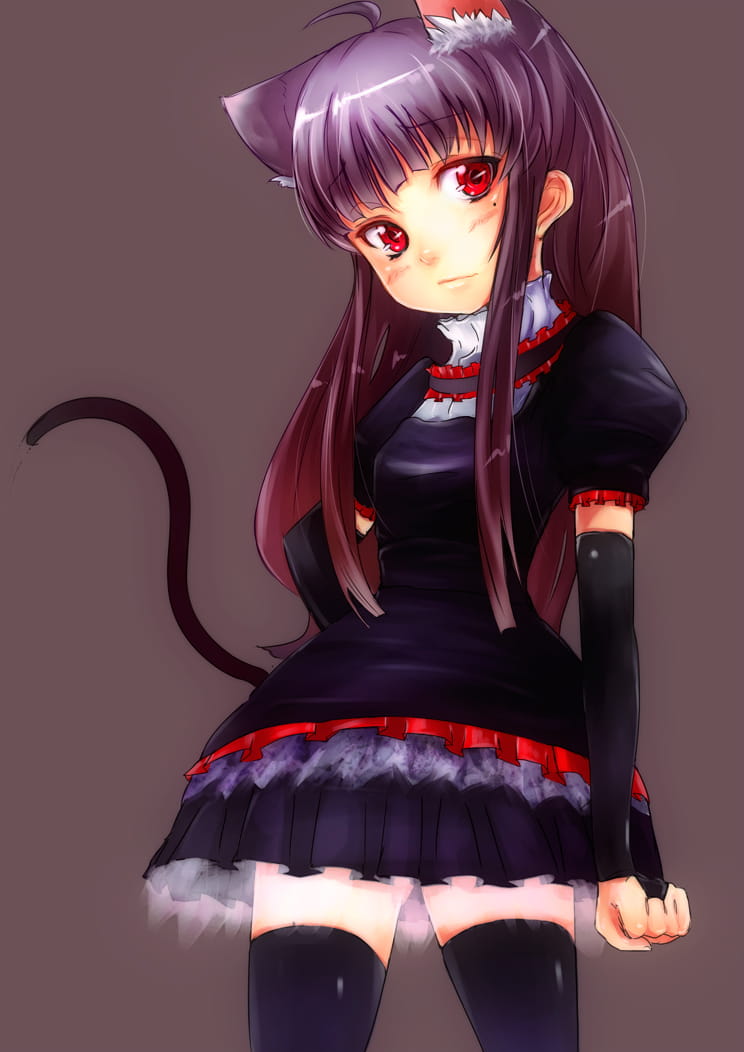 五更琉璃 黑猫手机壁纸下载