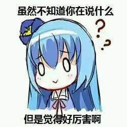 对方吃掉了你的斧子 战舰少女R 表情包下载