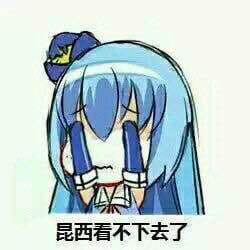 对方吃掉了你的斧子 战舰少女R 表情包下载