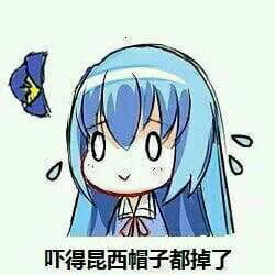 对方吃掉了你的斧子 战舰少女R 表情包下载