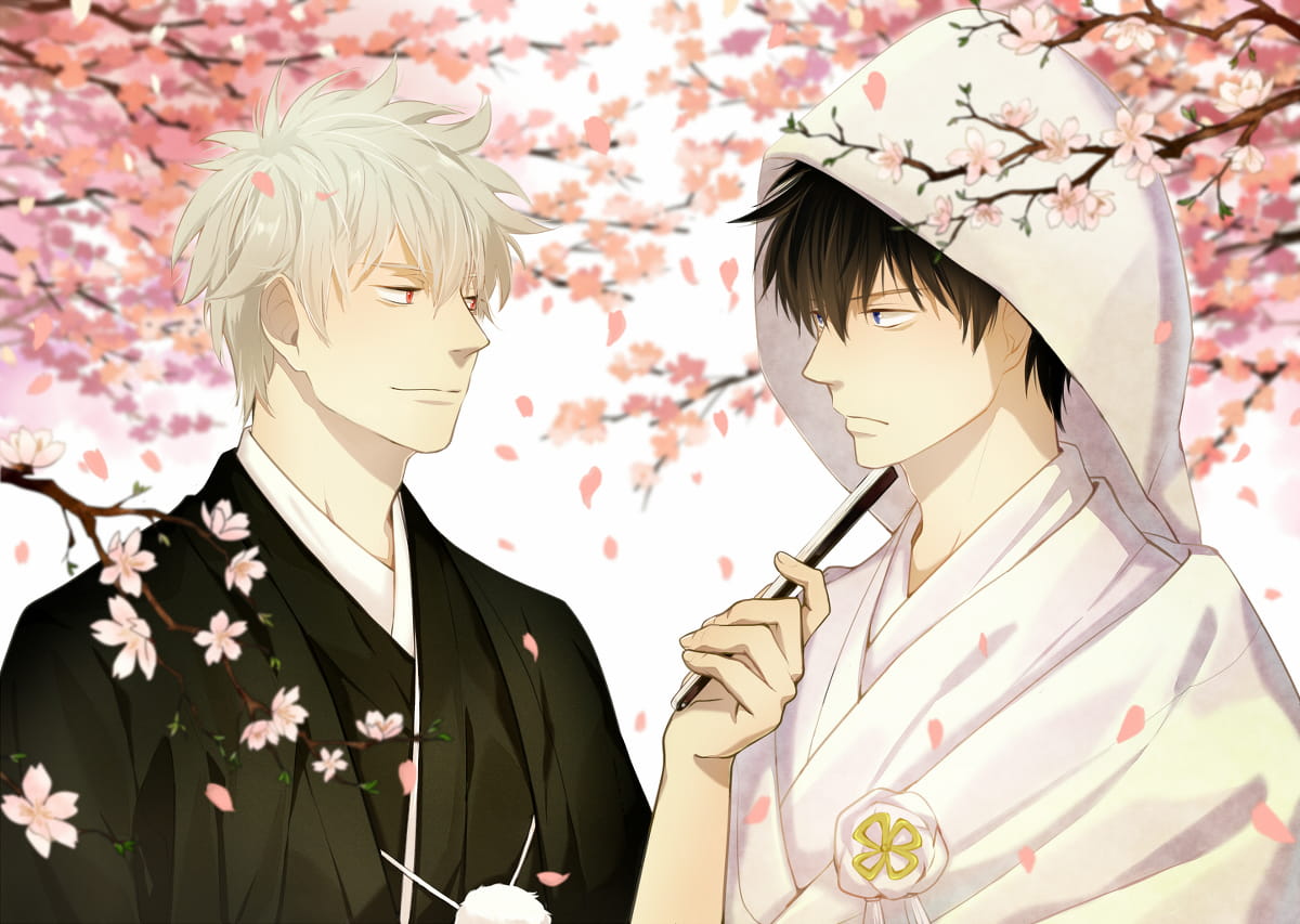 不正经的银魂壁纸 真的很不正经