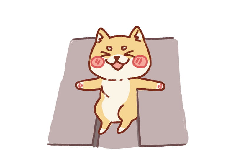 花式被卡的柴犬 可爱的柴犬头像