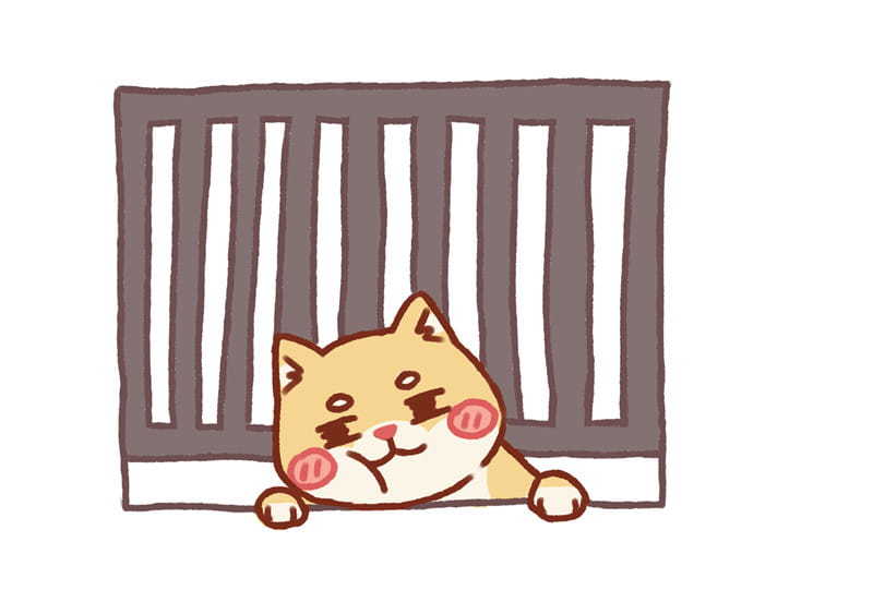 花式被卡的柴犬 可爱的柴犬头像