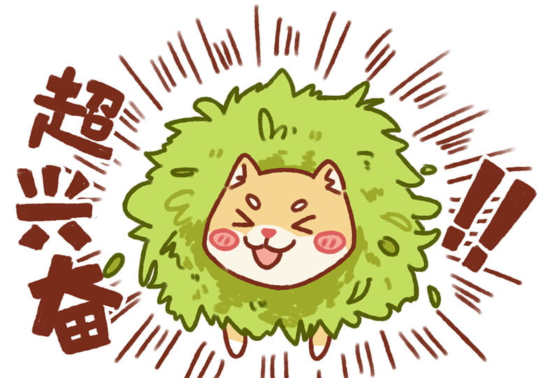 花式被卡的柴犬 可爱的柴犬头像