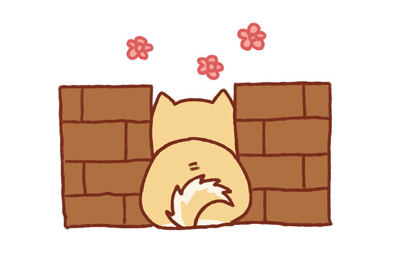 花式被卡的柴犬 可爱的柴犬头像