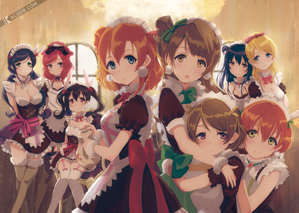 家中辛勤的身影 女仆壁纸图集