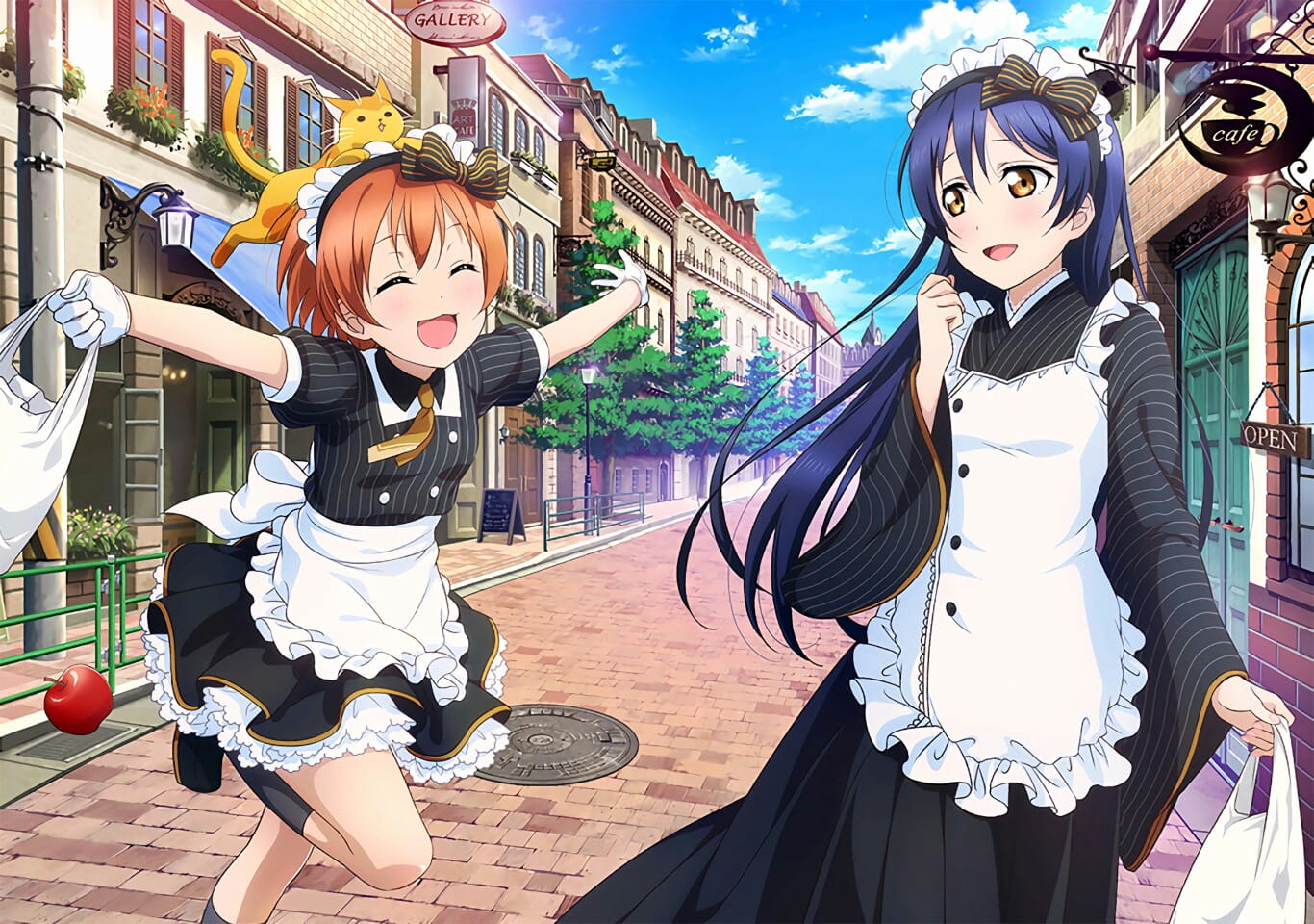 家中辛勤的身影 女仆壁纸图集