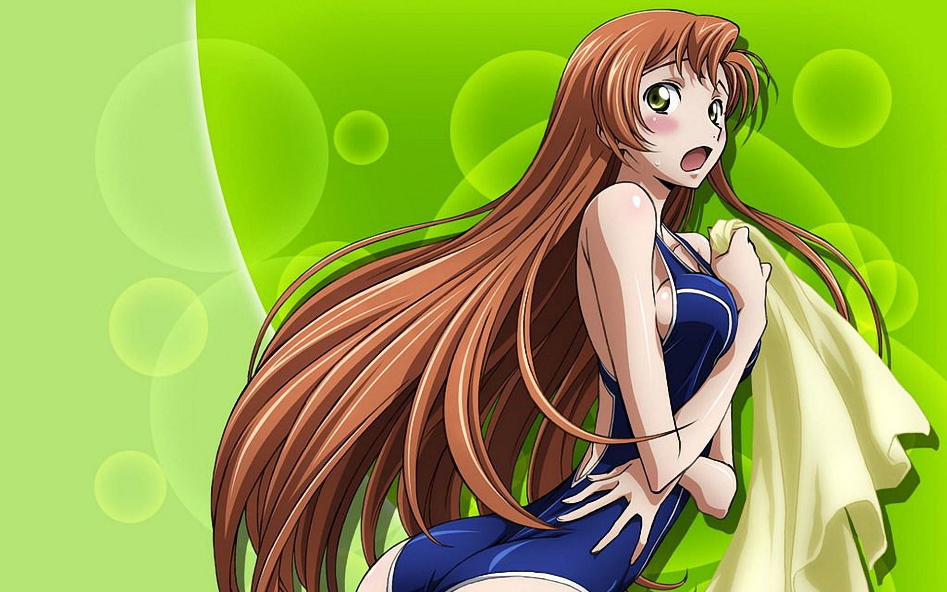 叛逆的鲁路修 高清电脑壁纸(1)