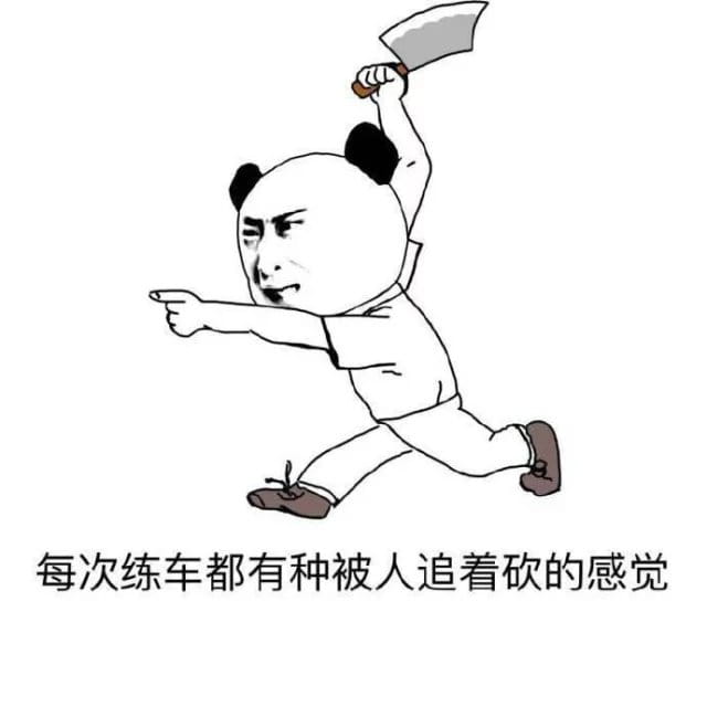 掐架撕逼 驾校学车专用表情包下载