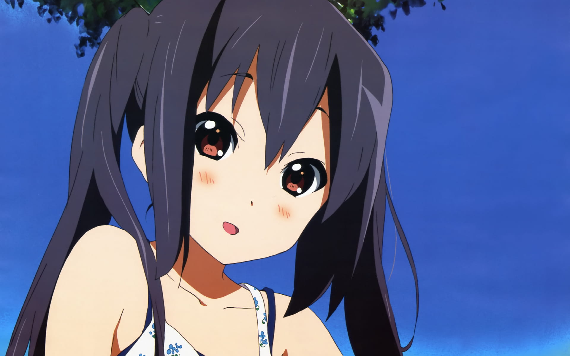 轻音少女 梓喵 高清电脑壁纸下载(1)