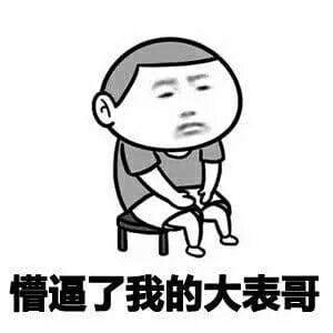 厉害了我的哥表情包 斗图专享