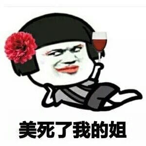 厉害了我的哥表情包 斗图专享