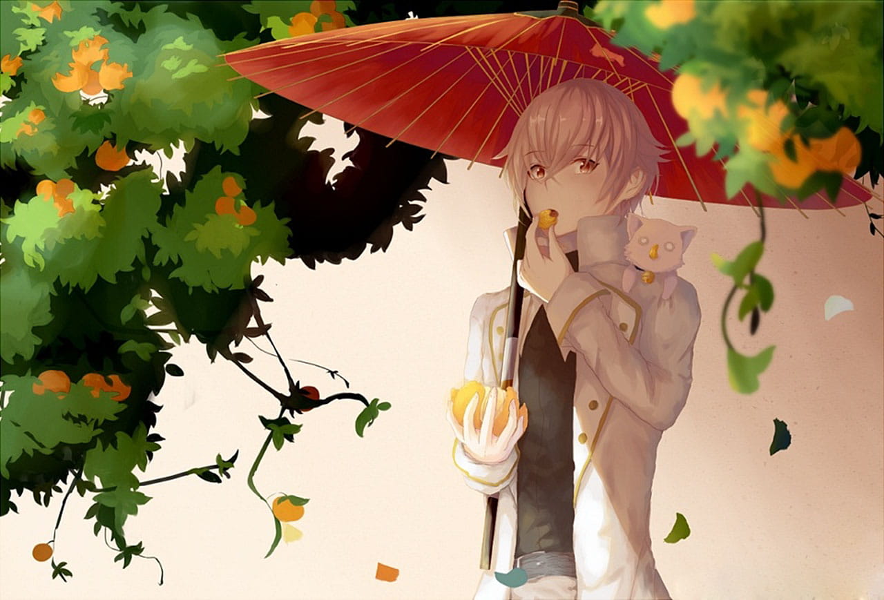 走进热血的魔幻之旅 K桌面壁下载(1)