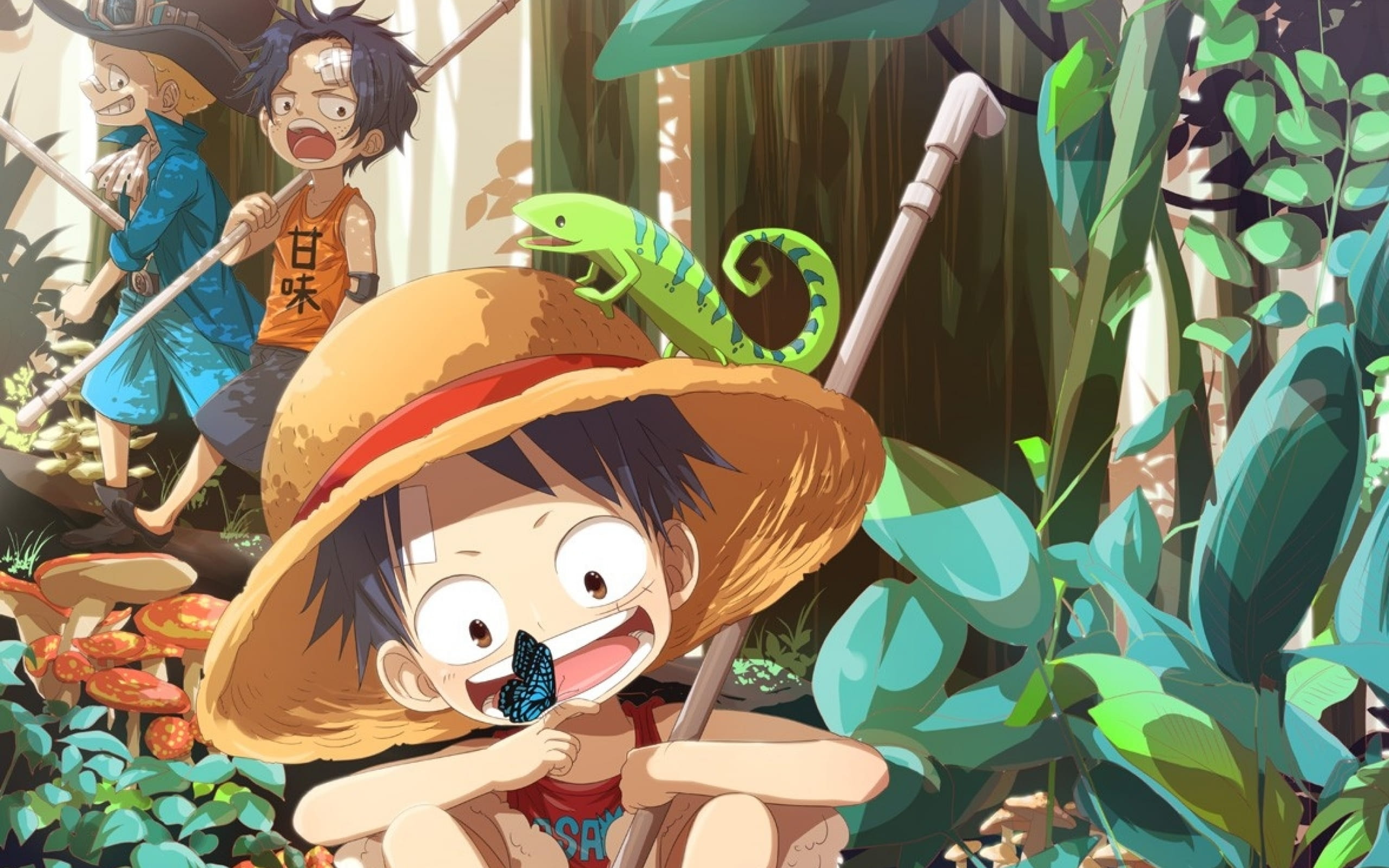 海贼王 路飞 高清电脑壁纸下载第五辑(1)