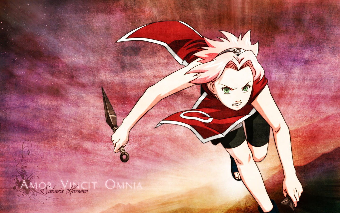 火影忍者 漩涡鸣人  高清电脑壁纸下载第三辑(1)