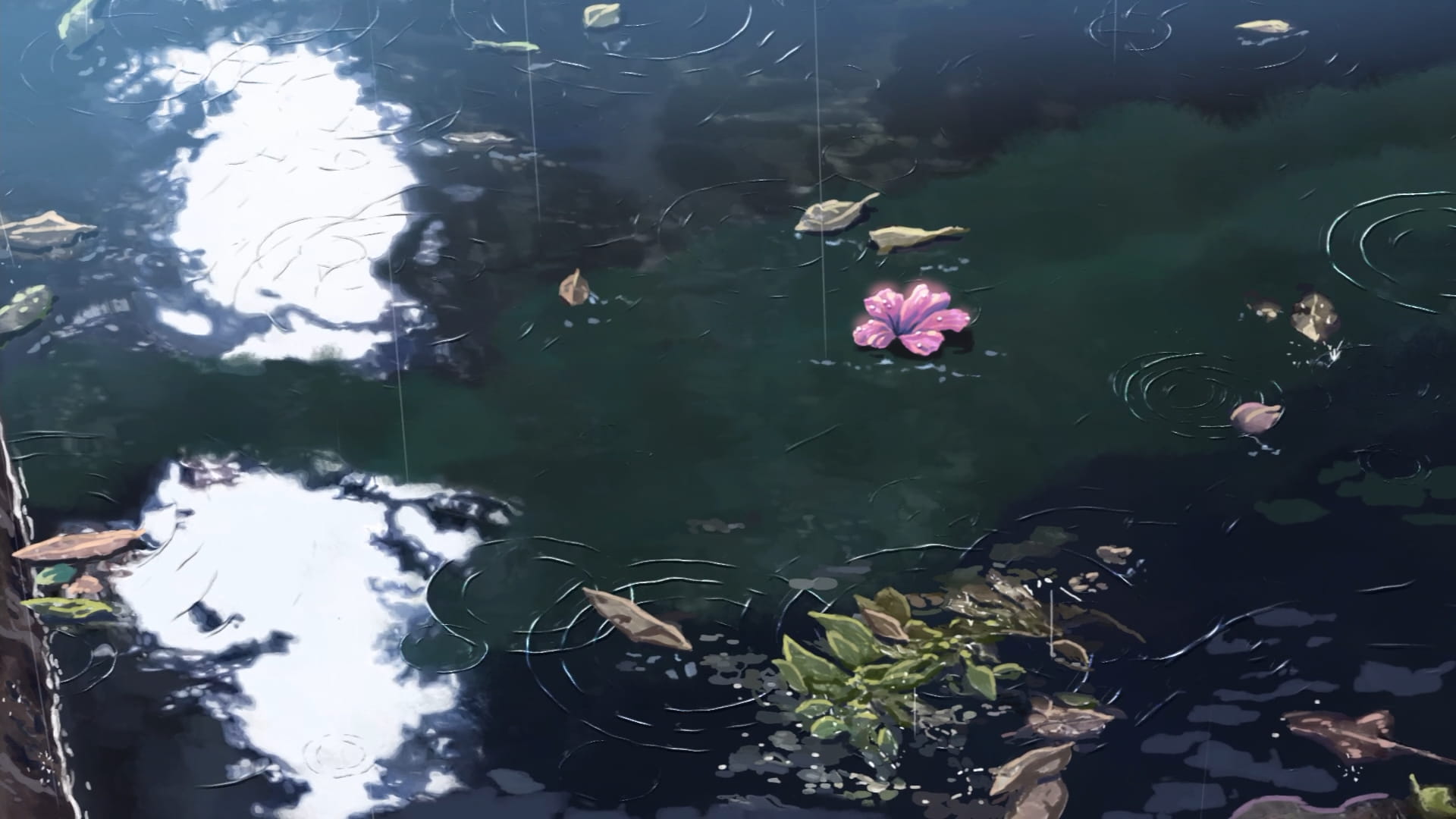 新海诚 言叶之庭&动漫风景 高清电脑壁纸下载(1)