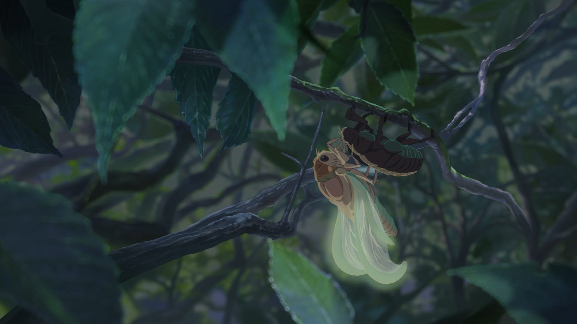 新海诚 言叶之庭&动漫风景 高清电脑壁纸下载(1)