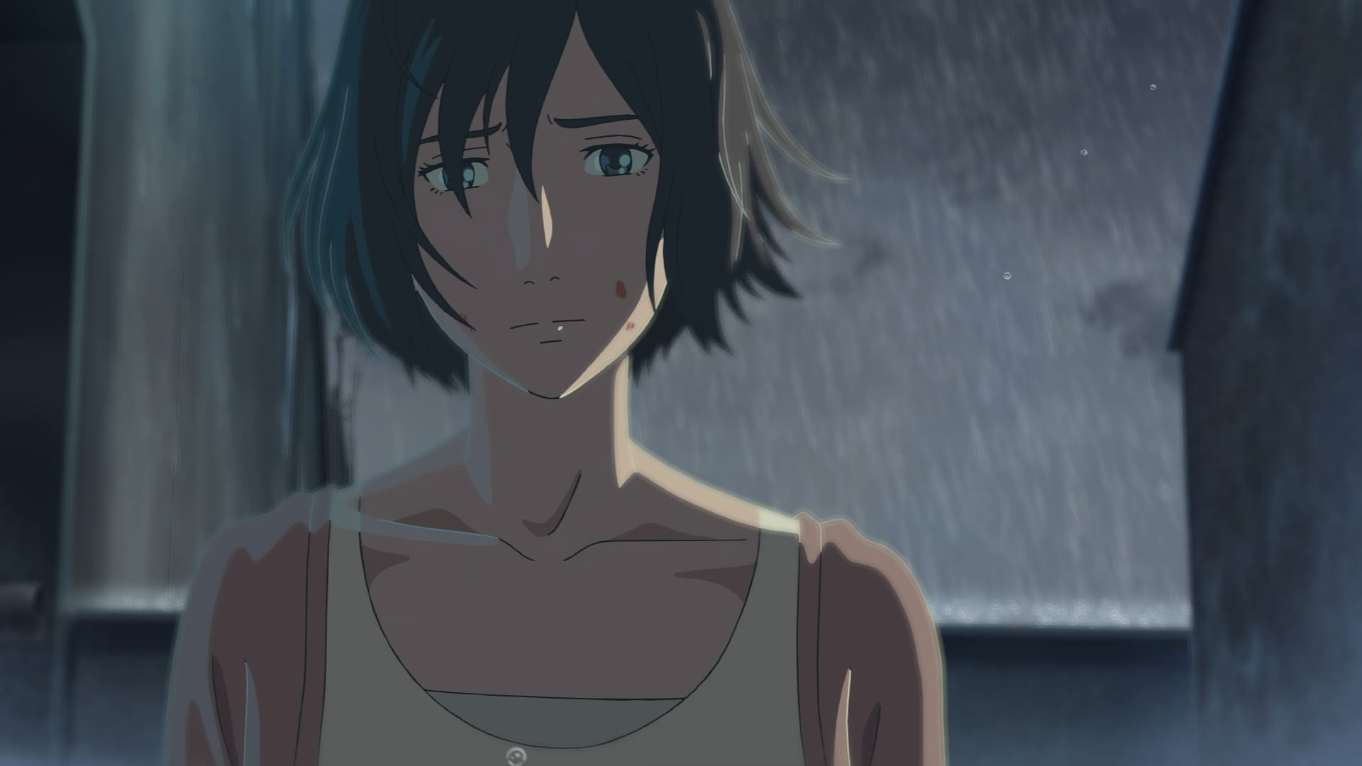 新海诚 言叶之庭&动漫风景 高清电脑壁纸下载(1)