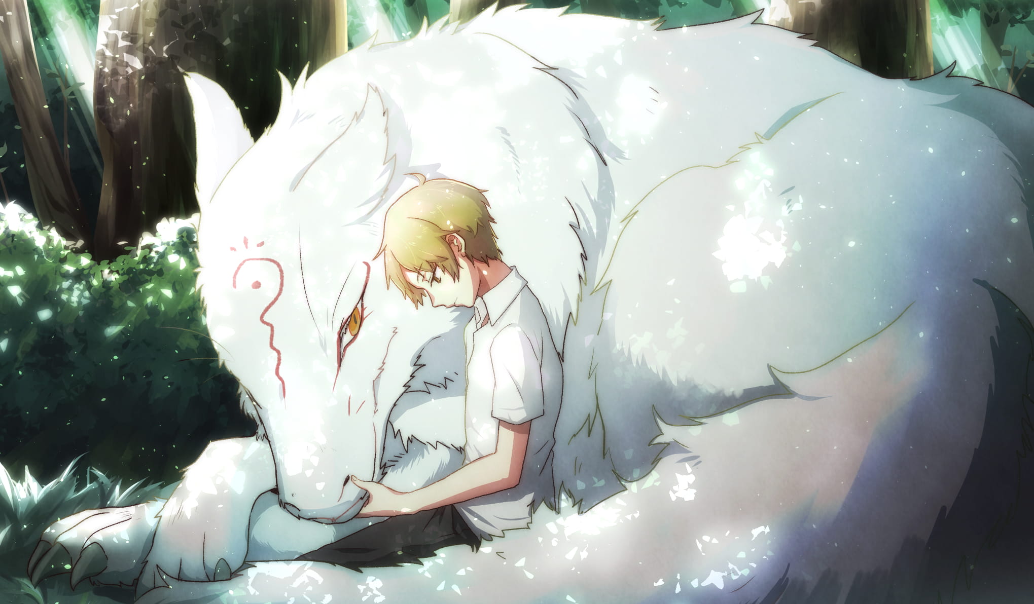 夏目友人帐 精选桌面壁纸福利(1)