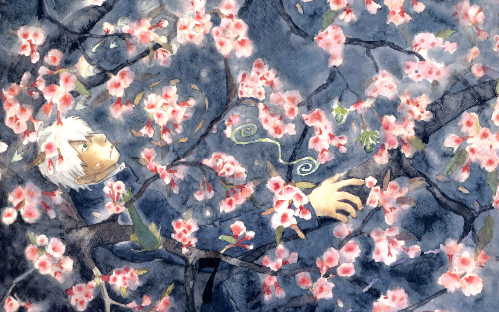 光怪陆离 虫师 动漫电脑壁纸下载