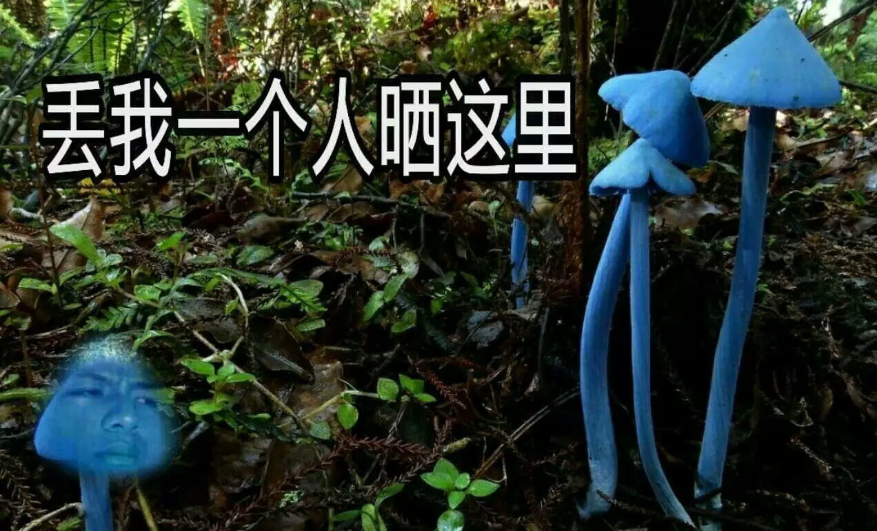 蓝瘦香菇 表情包 蓝瘦香菇在这里