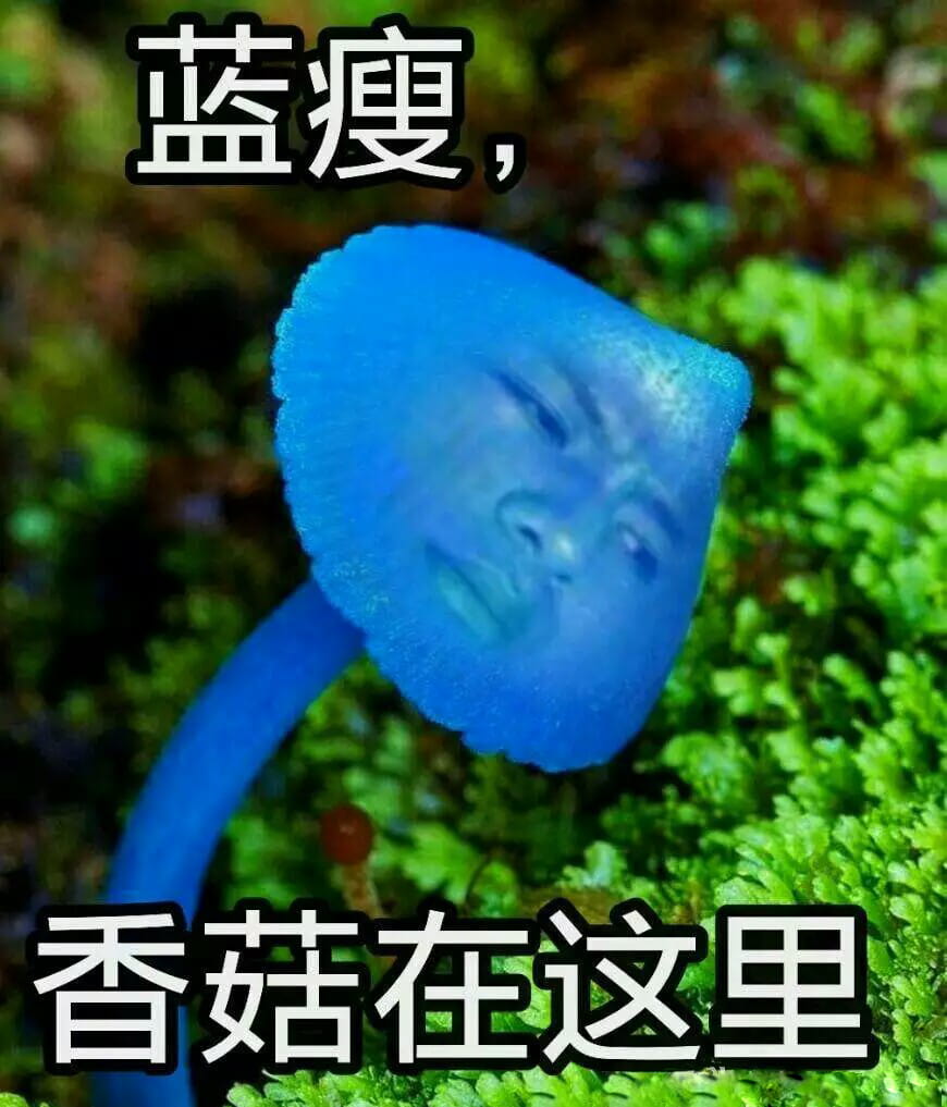 蓝瘦香菇 表情包 蓝瘦香菇在这里