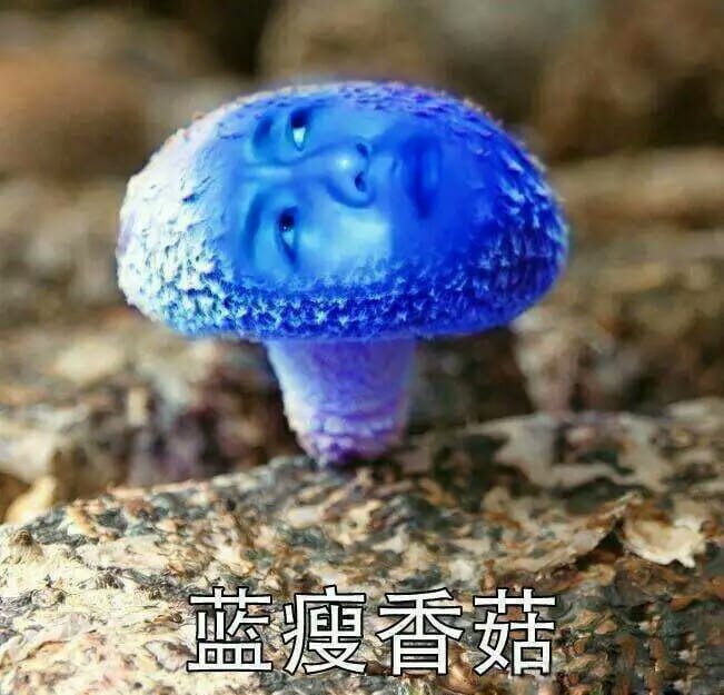蓝瘦香菇 表情包 蓝瘦香菇在这里