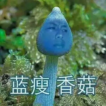 蓝瘦香菇 表情包 蓝瘦香菇在这里