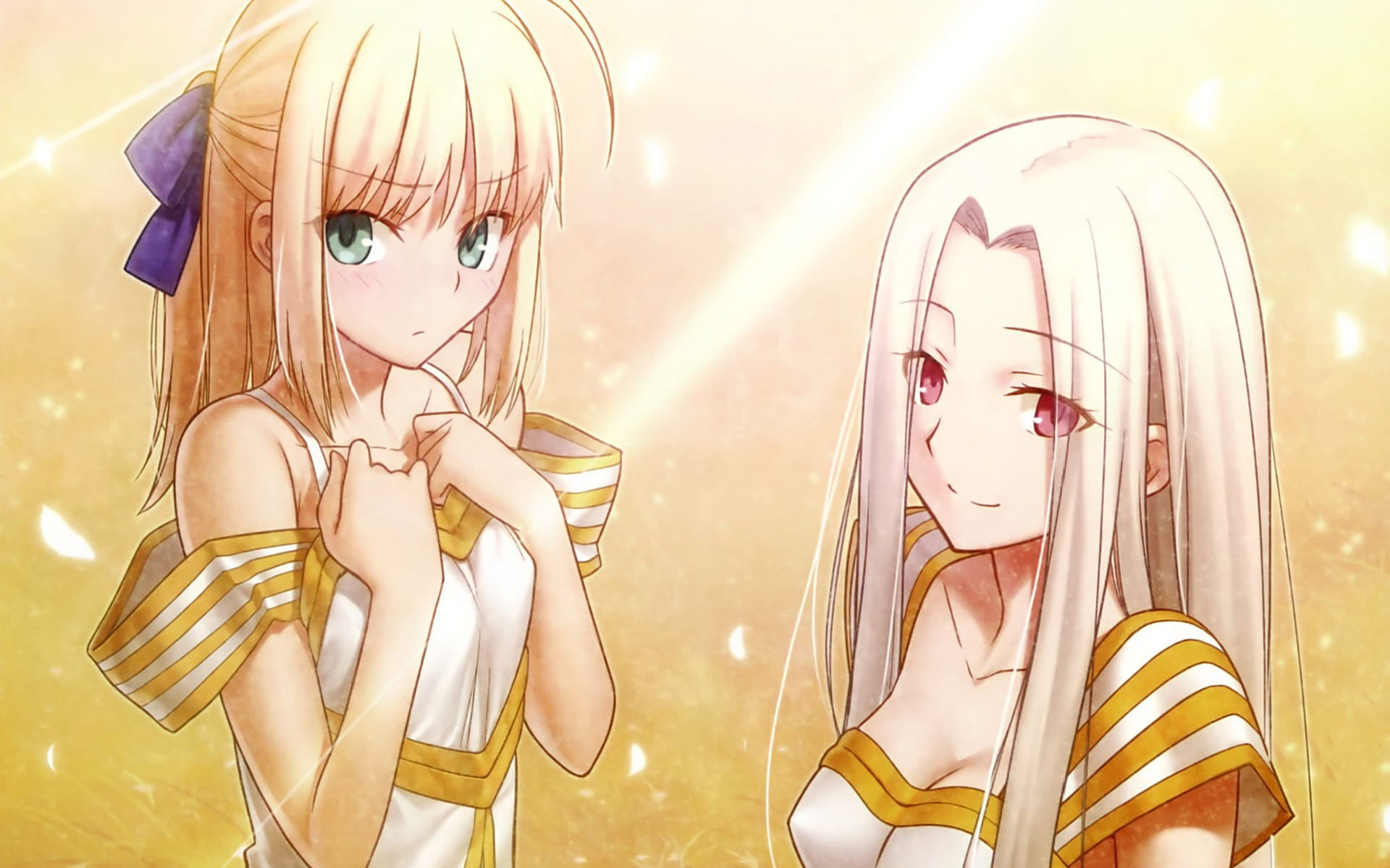 Fatestay night saber&伊莉雅 动漫电脑壁纸