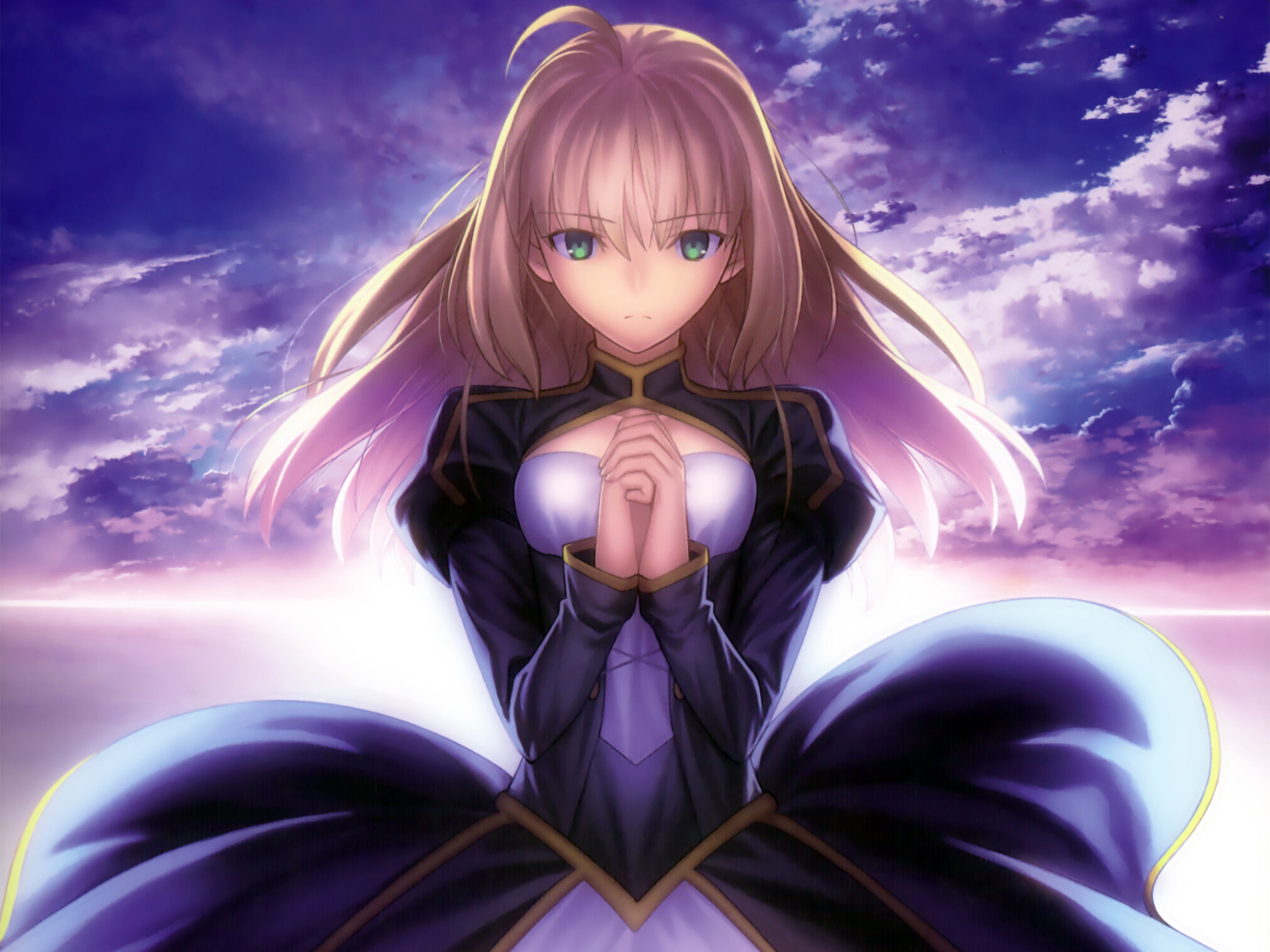 阿尔托莉雅saber本子电脑壁纸下载(1)