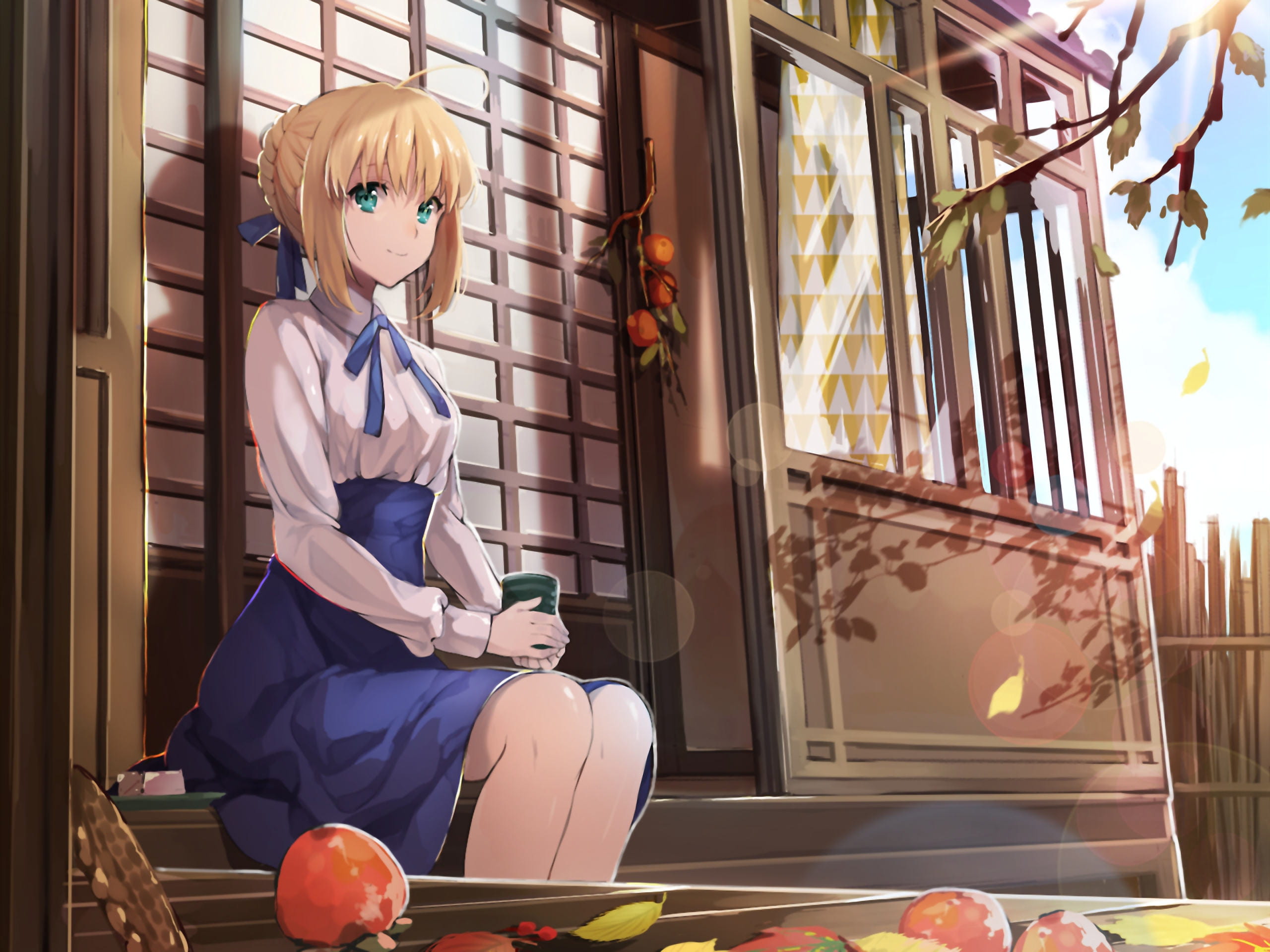 阿尔托莉雅saber本子电脑壁纸下载(1)