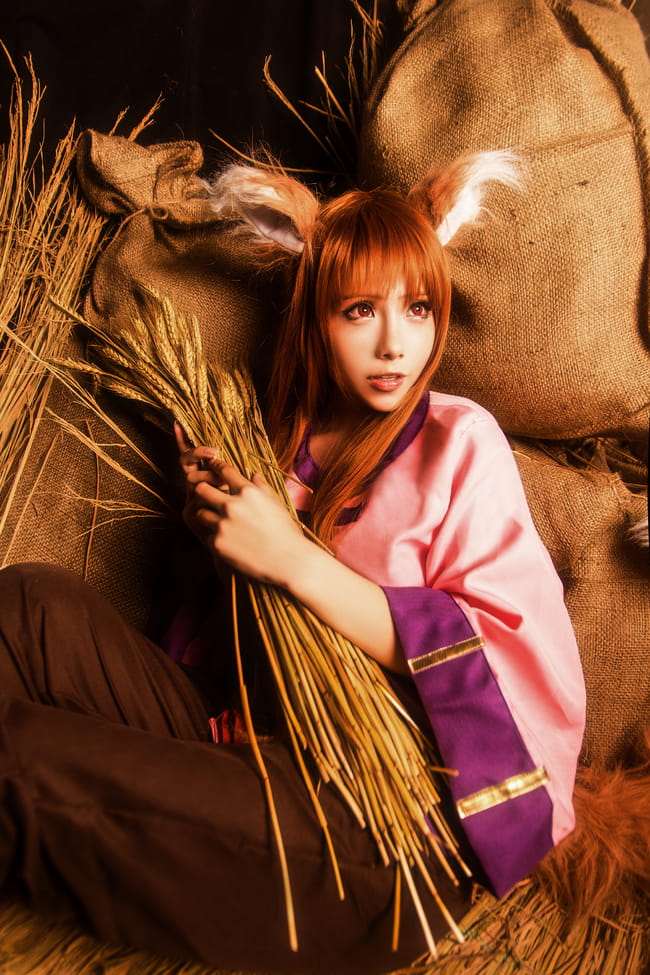 【授权】狼与香辛料 贤狼赫萝 超还原cos