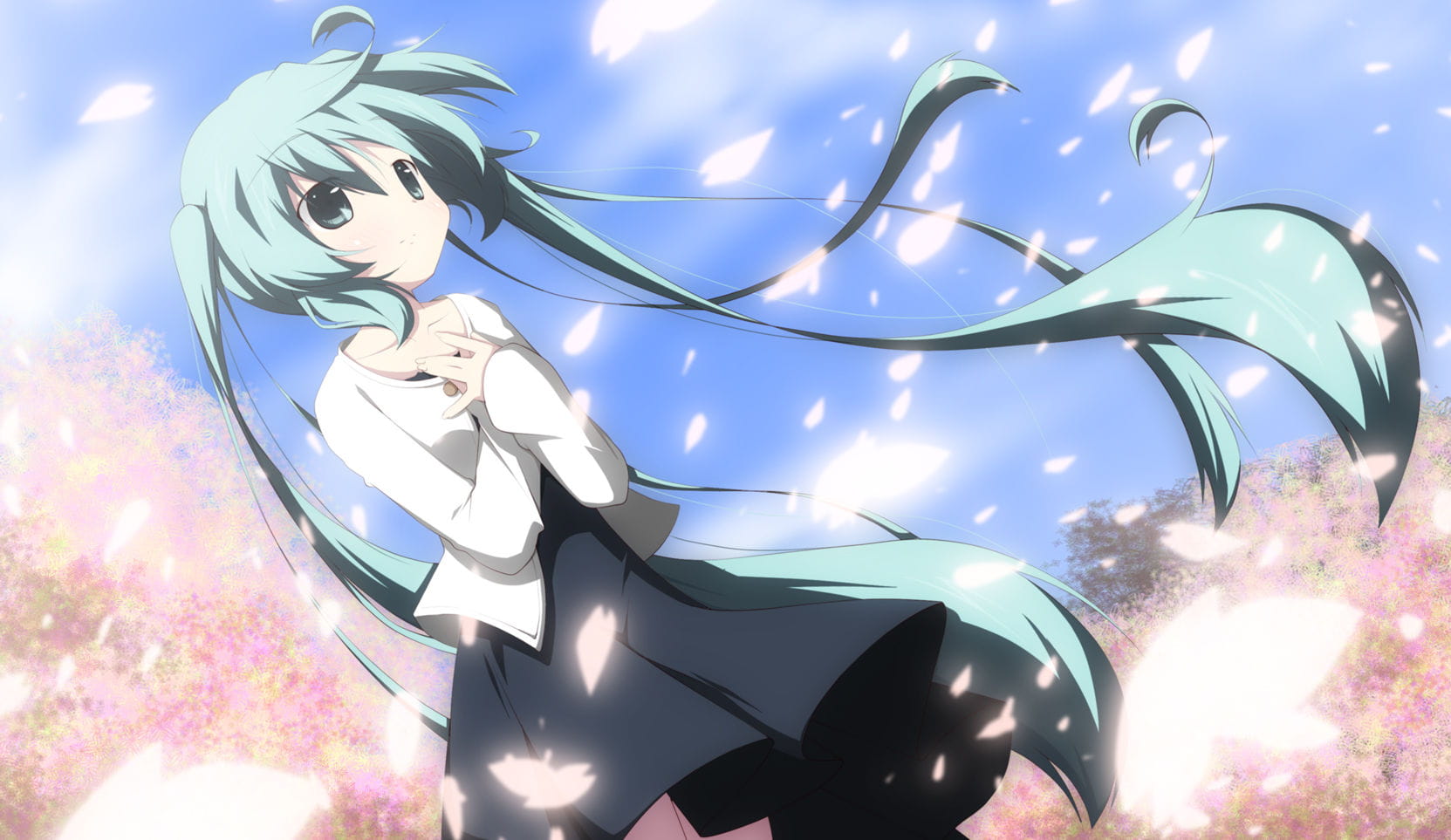 看过我的蓝白胖次吗？初音未来电脑壁纸下载(1)