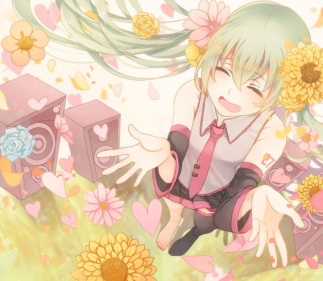 看过我的蓝白胖次吗？初音未来电脑壁纸下载(1)