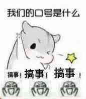 叫你搞事！超级欠揍的搞事表情包下载