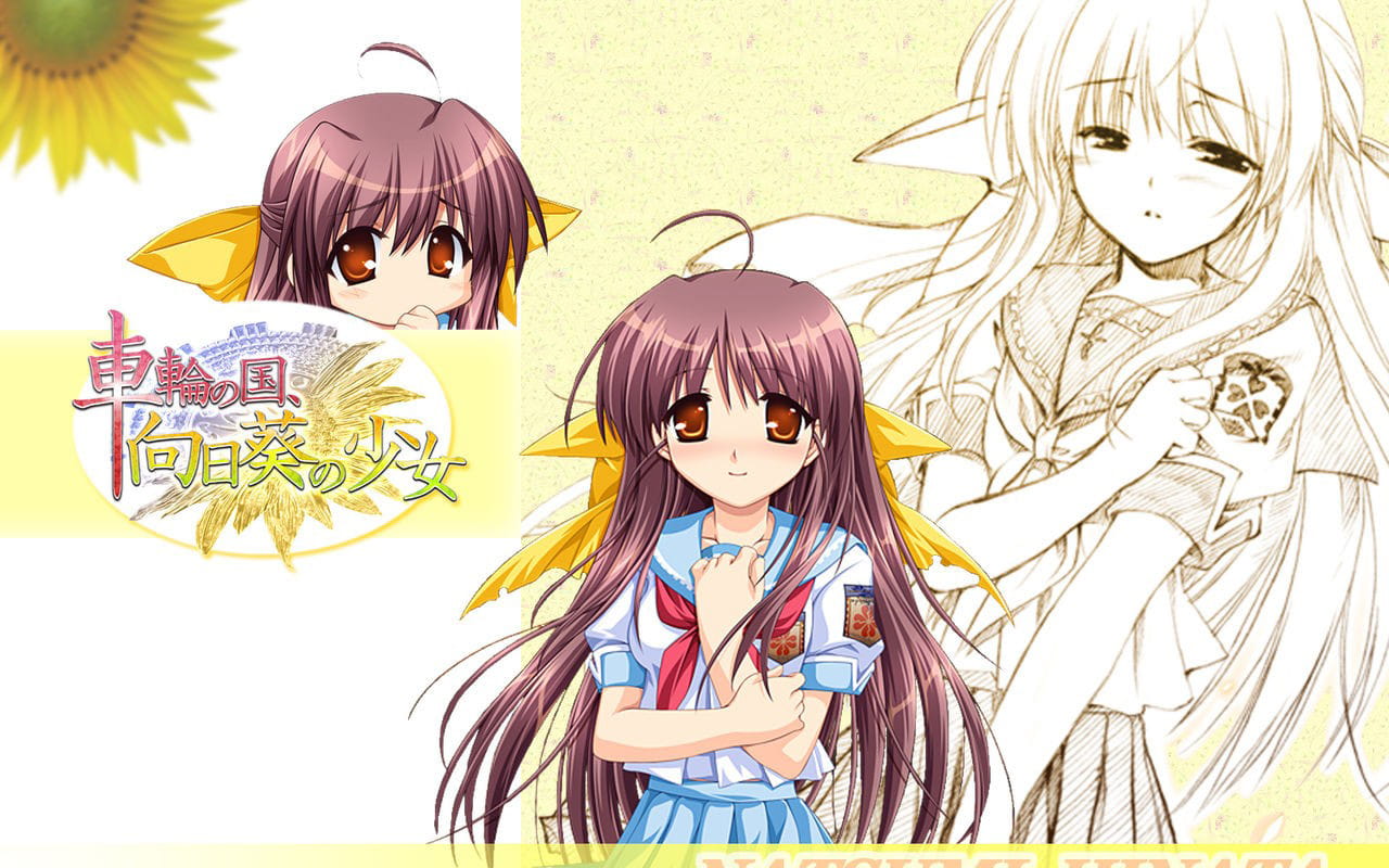 车轮之国 向日葵花田的女孩子动漫电脑壁纸下载