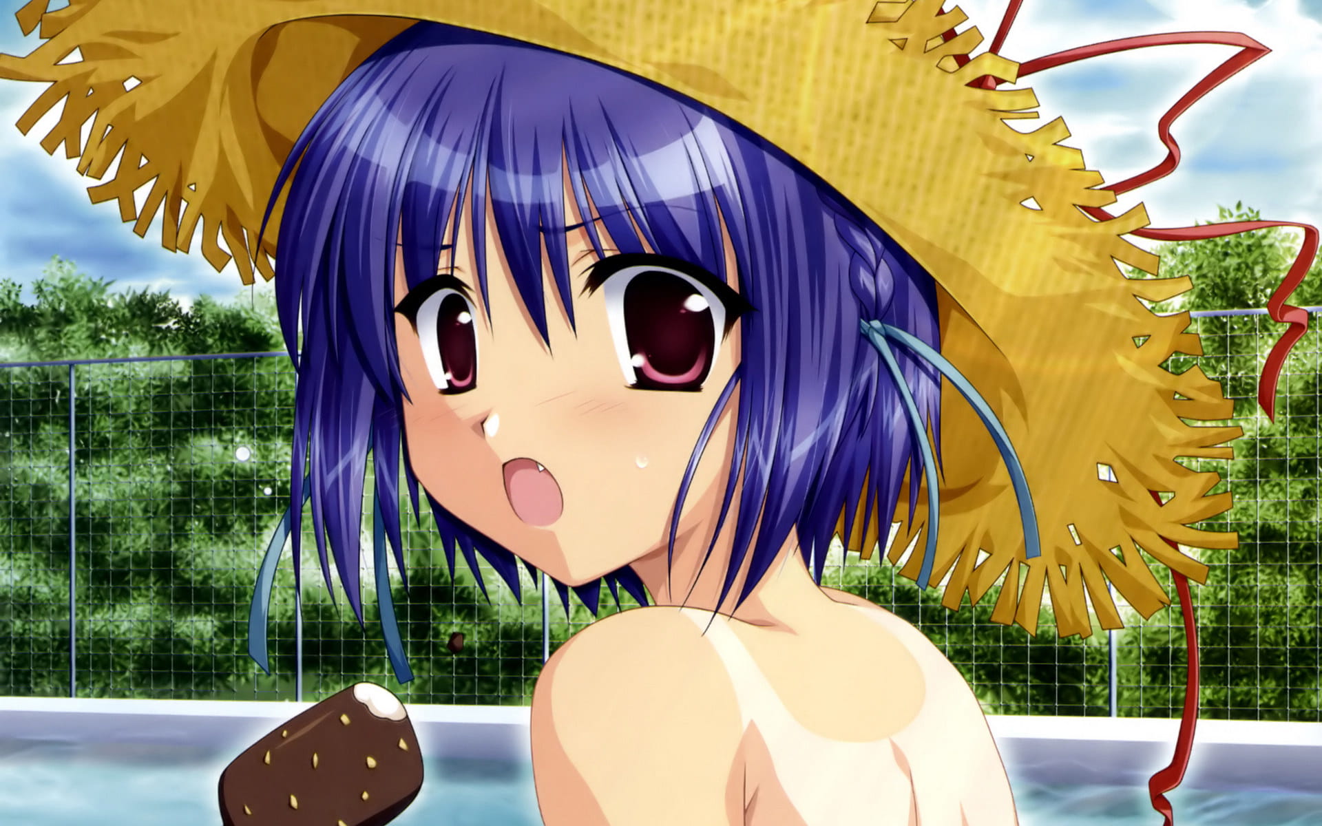 车轮之国 向日葵花田的女孩子动漫电脑壁纸下载