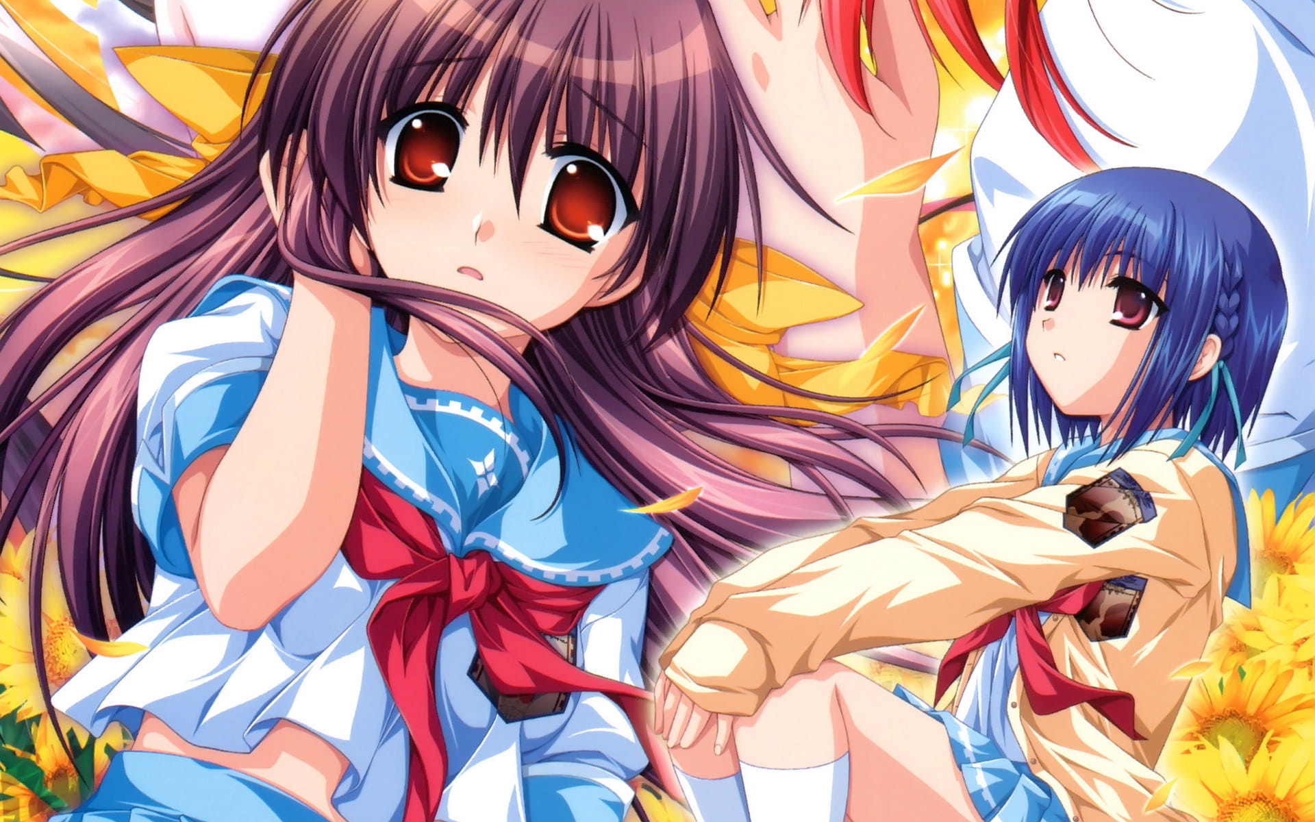 车轮之国 向日葵花田的女孩子动漫电脑壁纸下载