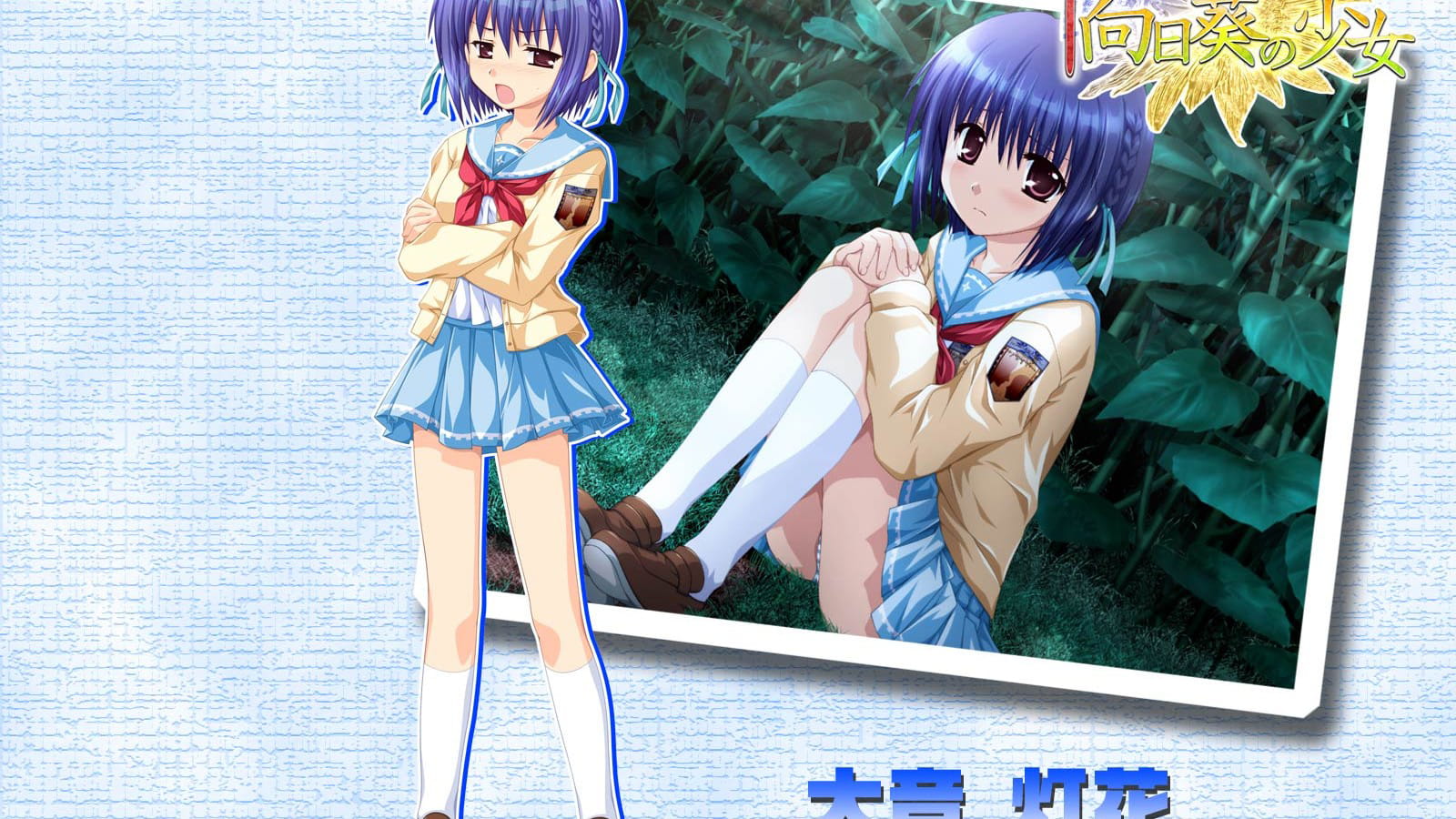 车轮之国 向日葵花田的女孩子动漫电脑壁纸下载