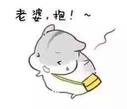 小仓鼠系列给老婆的表情包 好喜欢老婆