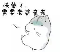 小仓鼠系列给老婆的表情包 好喜欢老婆