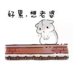 小仓鼠系列给老婆的表情包 好喜欢老婆