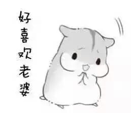 小仓鼠系列给老婆的表情包 好喜欢老婆